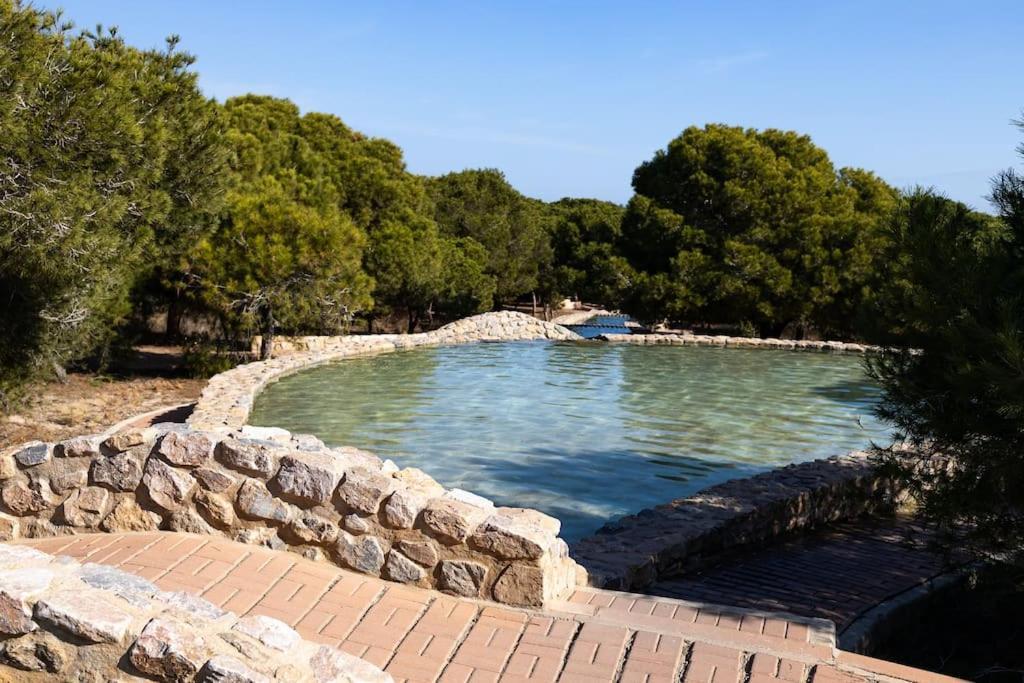 Appartement La Mata Dış mekan fotoğraf