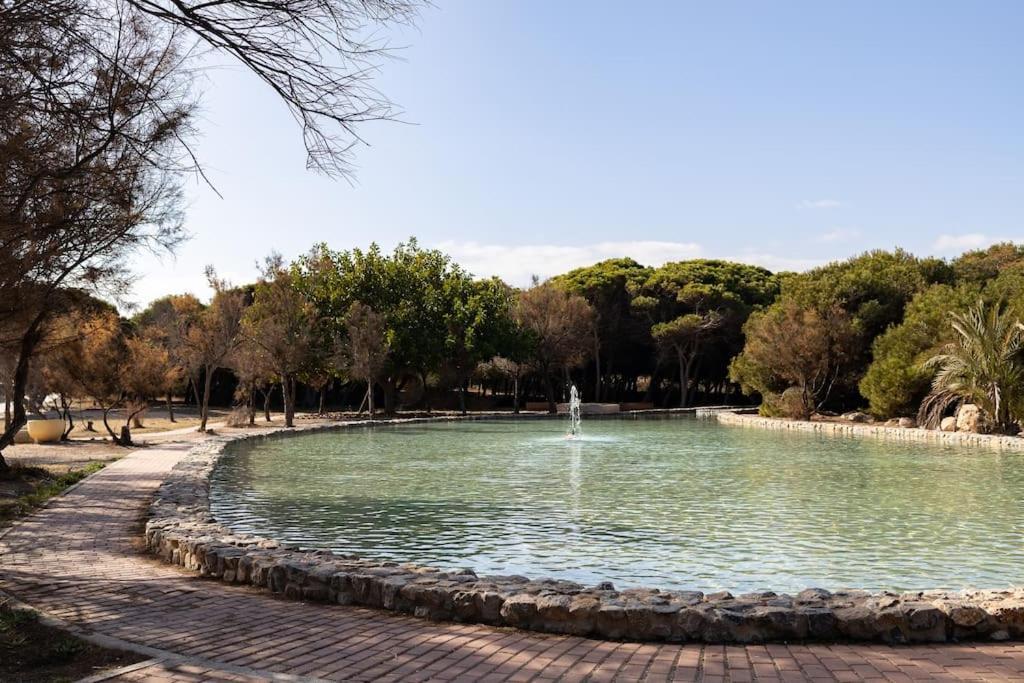 Appartement La Mata Dış mekan fotoğraf